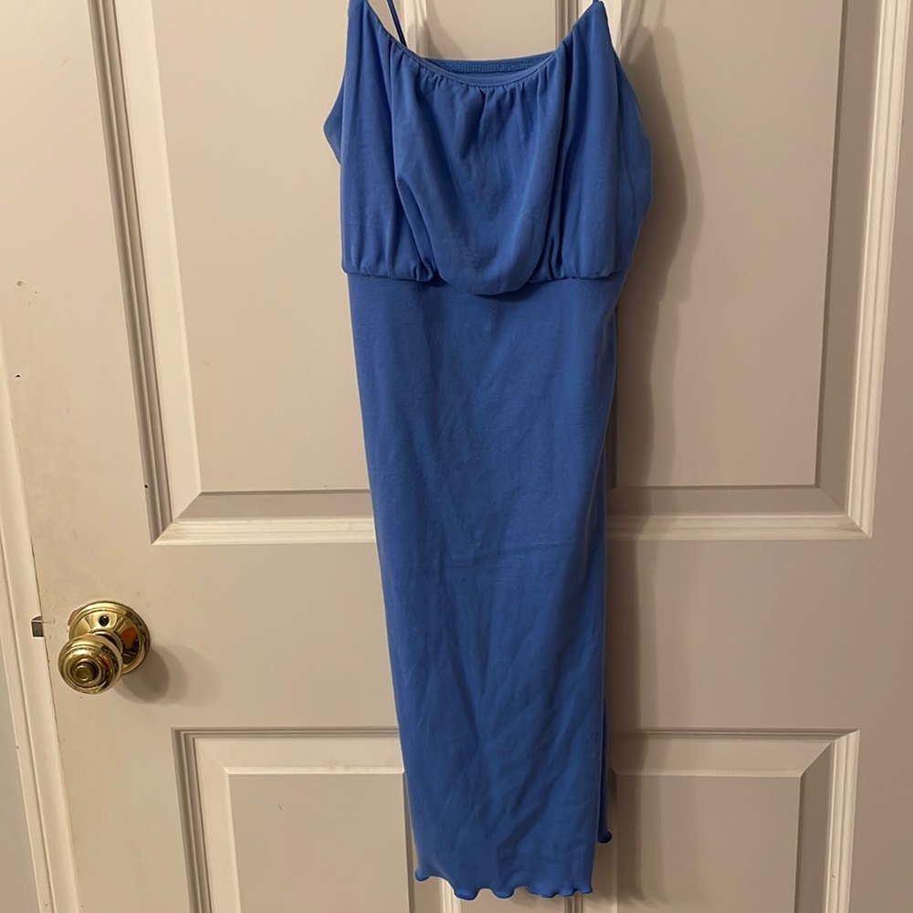 blue wild fable dress